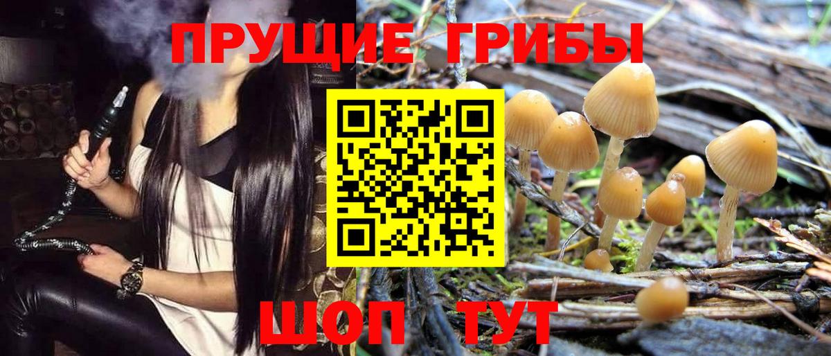 Псилоцибиновые грибы ЛСД  Вход с VPN  Губаха  Псилоцибиновые грибы Magic Shrooms 
